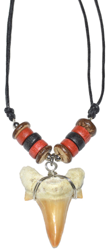 Shark Tooth w/ Red Beads