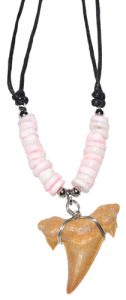 Shark Tooth w/ Pink Beads