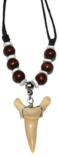 Shark Tooth w/ Brown Beads