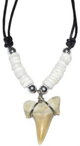 Shark Tooth w/ Solid White Beads