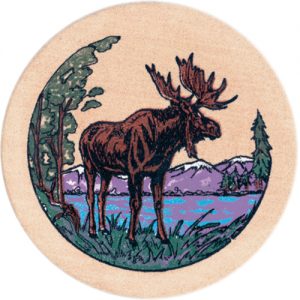 Moose on Mountain