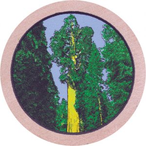 Large Tree
