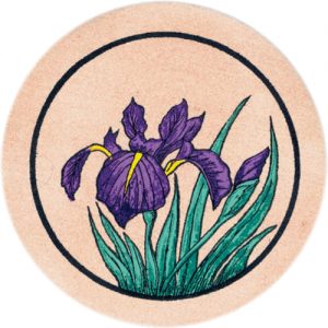 Iris