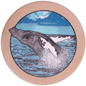 Humpback Whale