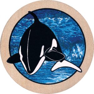 Orca