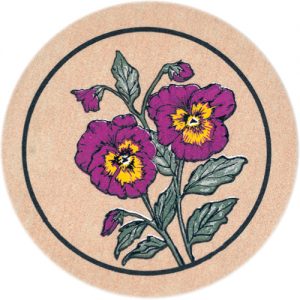 Pansy