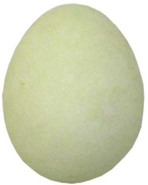 Glow in the Dark Eggs