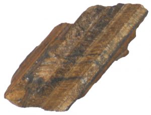 Tigereye Specimen